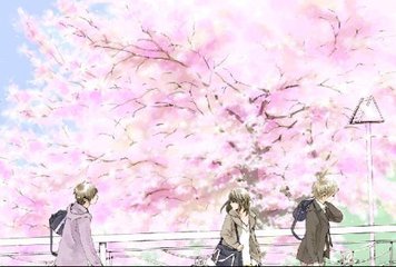 红杏永久地域入口